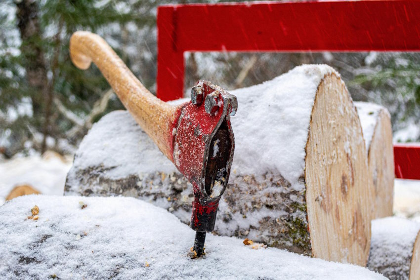 Die optimale Jahreszeit für Baumfällungen Winter